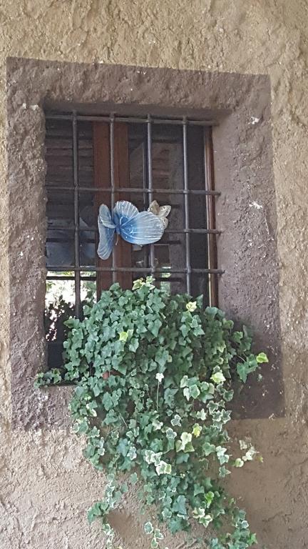 B&B Corte Bezzetti Volta Mantovana Buitenkant foto